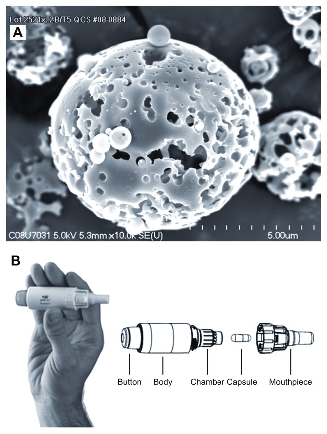 Tobramycin administered by the TOBI(®) Podhaler(®) for persons with cystic fibrosis: a review.