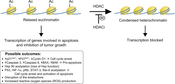 Romidepsin: evidence for its potential use to manage previously treated cutaneous T cell lymphoma.