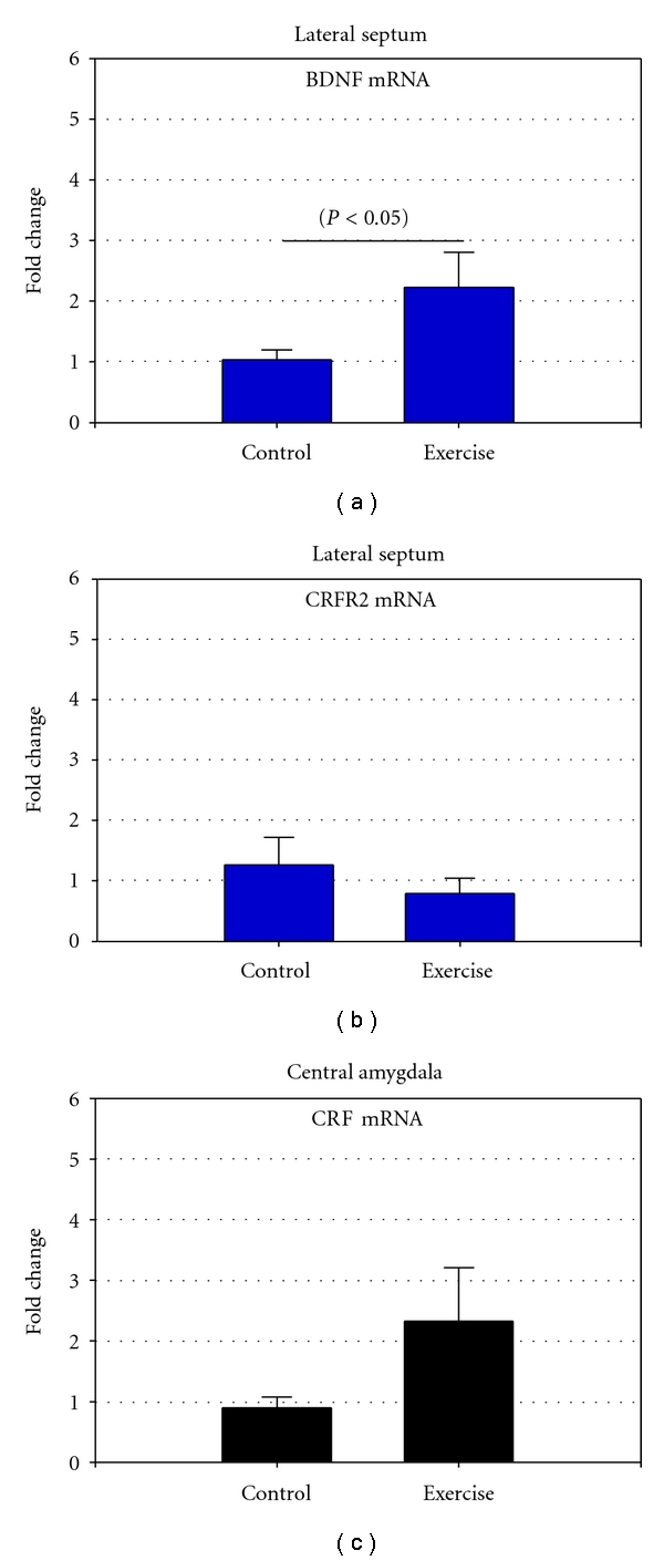 Effects of voluntary running in the female mice lateral septum on BDNF and corticotropin-releasing factor receptor 2.