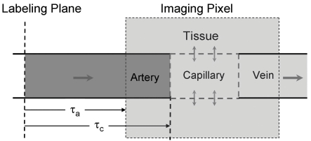 Quantitative MRI of cerebral arterial blood volume.