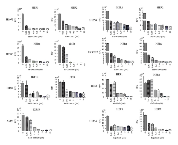 Signatures of drug sensitivity in nonsmall cell lung cancer.