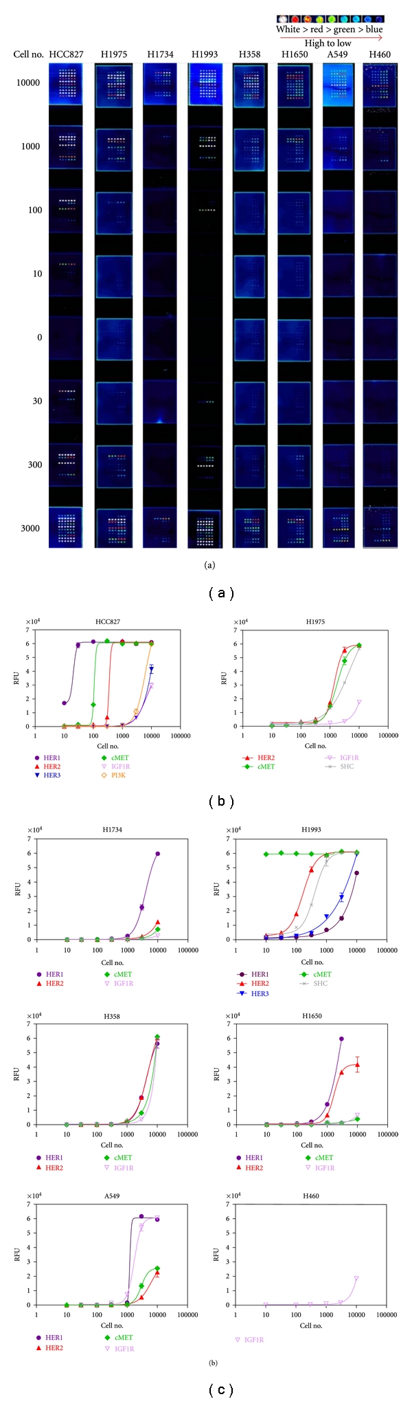 Signatures of drug sensitivity in nonsmall cell lung cancer.