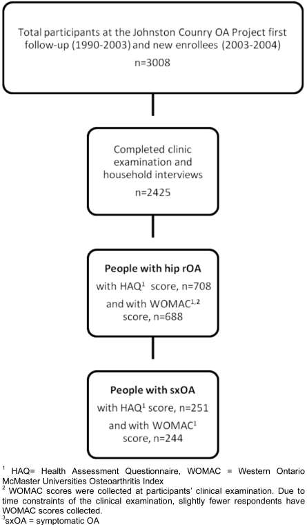 The association of disability and pain with individual and community socioeconomic status in people with hip osteoarthritis.