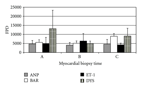 Modification of a volume-overload heart failure model to track myocardial remodeling and device-related reverse remodeling.