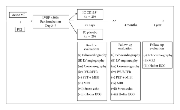 One-Year Safety Analysis of the COMPARE-AMI Trial: Comparison of Intracoronary Injection of CD133 Bone Marrow Stem Cells to Placebo in Patients after Acute Myocardial Infarction and Left Ventricular Dysfunction.