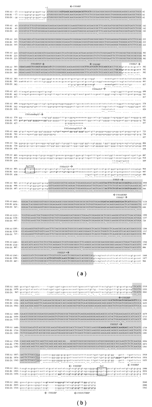 Differential expression of three flavanone 3-hydroxylase genes in grains and coleoptiles of wheat.