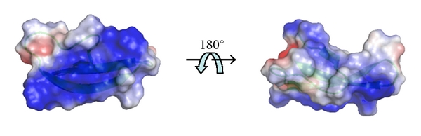 Structural and Functional Consequences Induced by Post-Translational Modifications in α-Defensins.