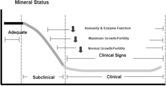 Male subfertility and the role of micronutrient supplementation: clinical and economic issues.