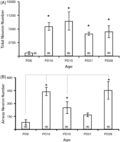 Early Postnatal Ozone Exposure Alters Rat Nodose and Jugular Sensory Neuron Development.