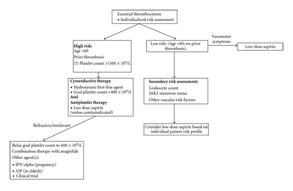 Thrombocytosis: diagnostic evaluation, thrombotic risk stratification, and risk-based management strategies.