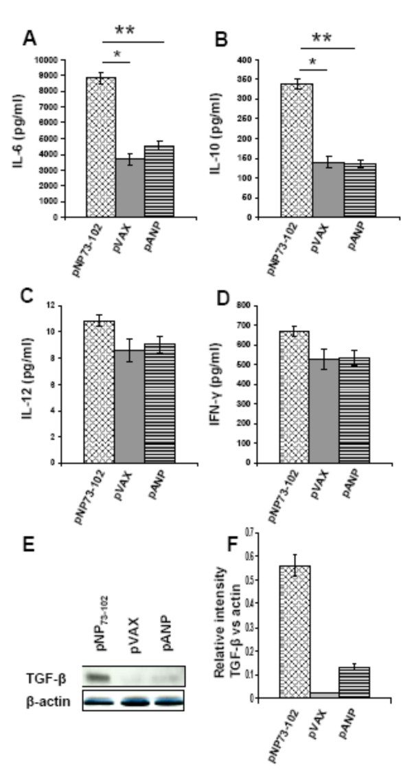 Plasmid-encoded NP73-102 modulates atrial natriuretic peptide receptor signaling and plays a critical role in inducing tolerogenic dendritic cells.