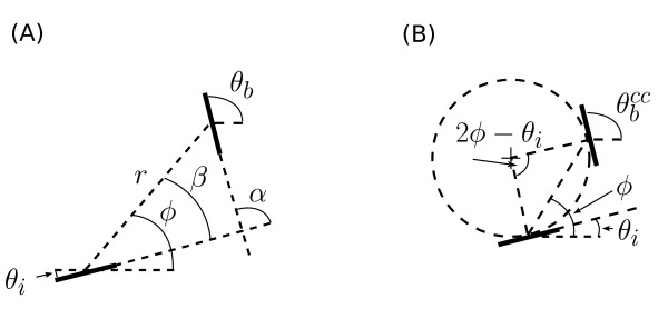 Statistical structure of lateral connections in the primary visual cortex.