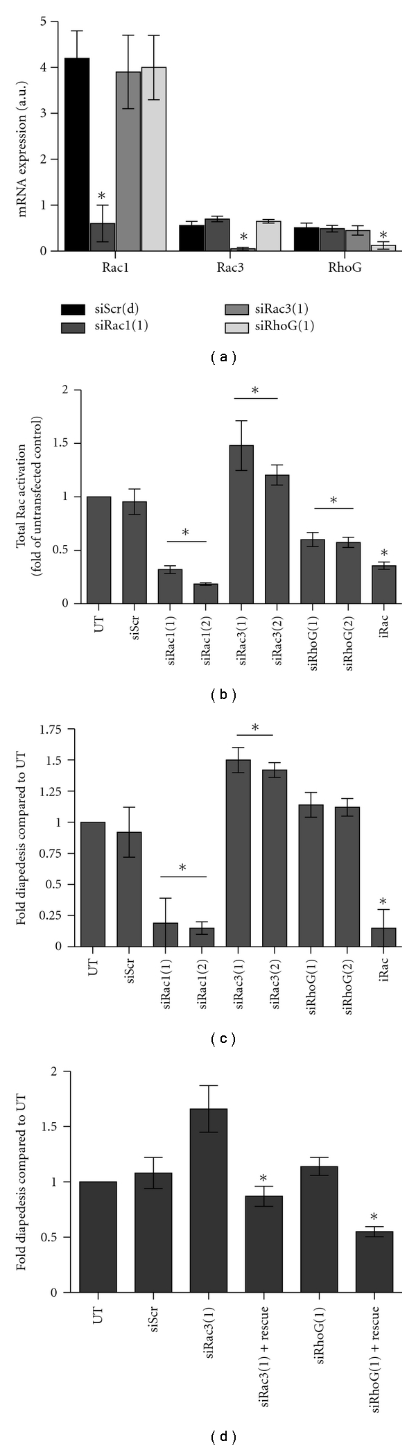 Individual rac GTPases mediate aspects of prostate cancer cell and bone marrow endothelial cell interactions.