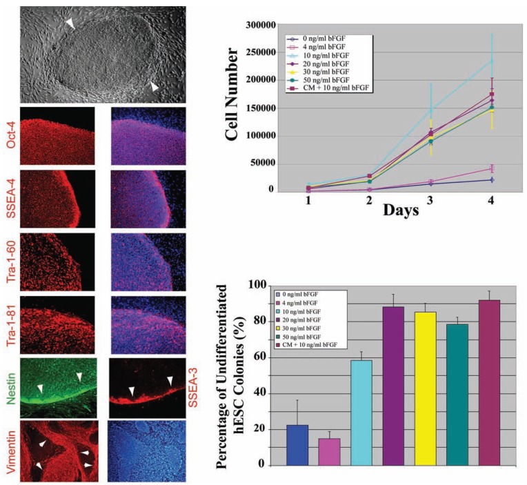 Patents on Technologies of Human Tissue and Organ Regeneration from Pluripotent Human Embryonic Stem Cells.