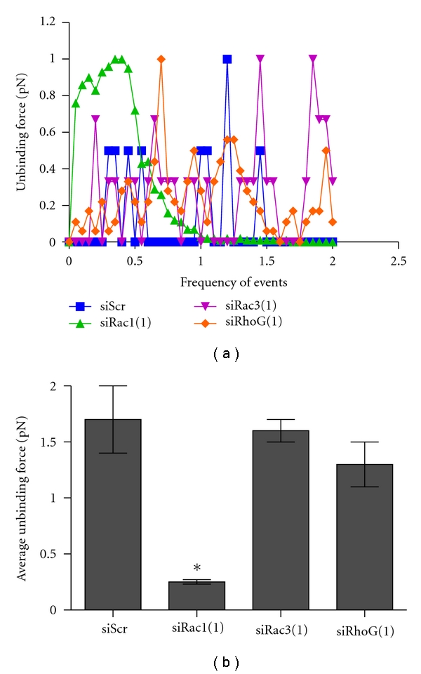 Individual rac GTPases mediate aspects of prostate cancer cell and bone marrow endothelial cell interactions.