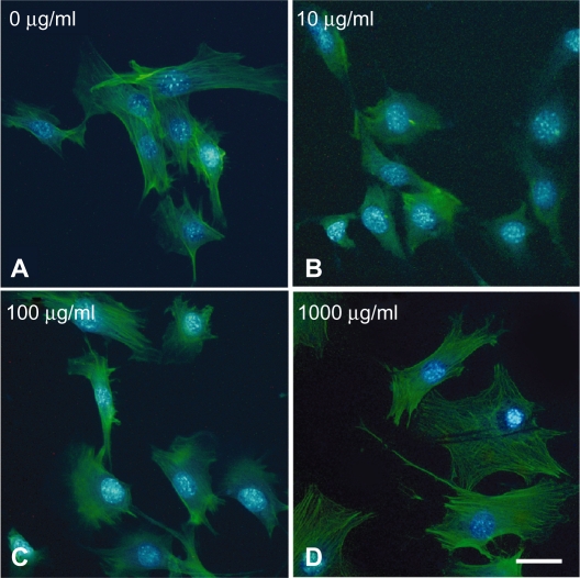 The effect of valproic Acid on mesenchymal pluripotent cell proliferation and differentiation in extracellular matrices.