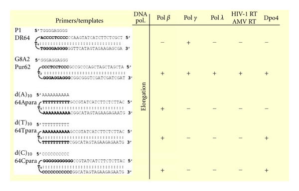 Priming DNA replication from triple helix oligonucleotides: possible threestranded DNA in DNA polymerases.