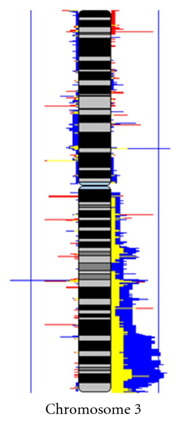 Arsenic biotransformation as a cancer promoting factor by inducing DNA damage and disruption of repair mechanisms.