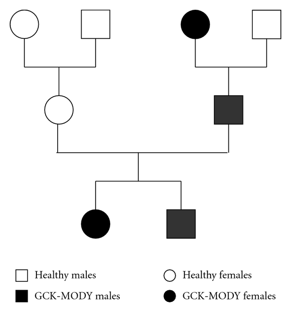 GCK-MODY (MODY 2) Caused by a Novel p.Phe330Ser Mutation.