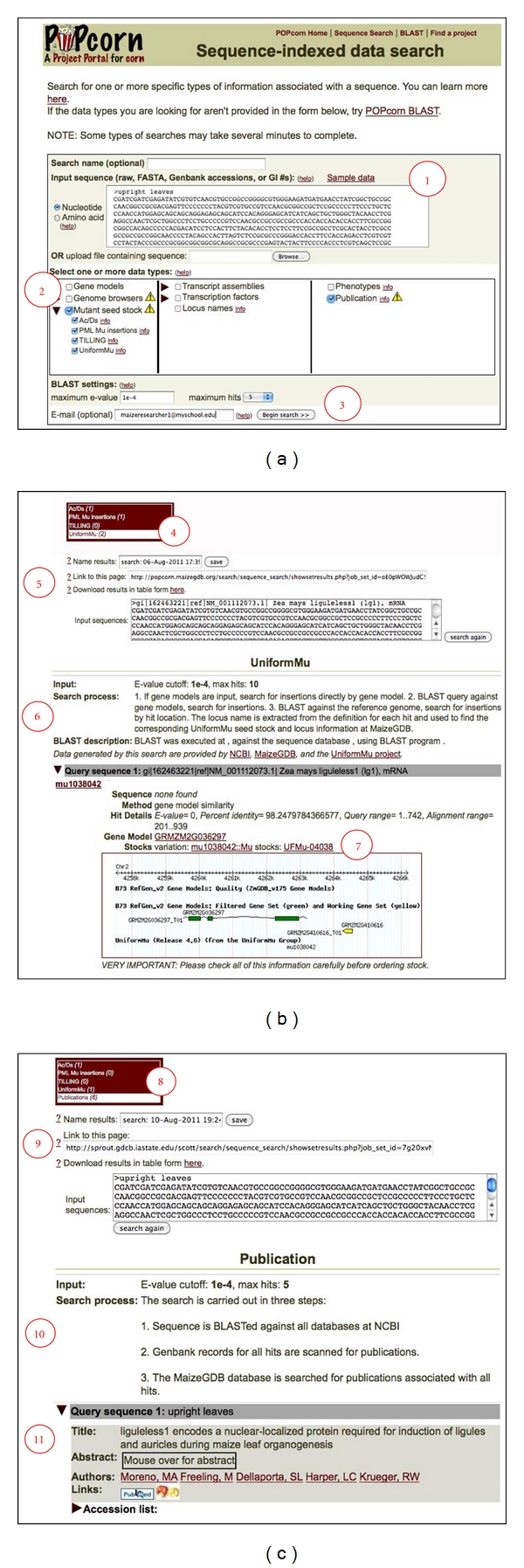 POPcorn: An Online Resource Providing Access to Distributed and Diverse Maize Project Data.