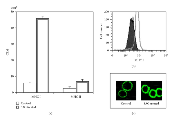 Use of antimony in the treatment of leishmaniasis: current status and future directions.