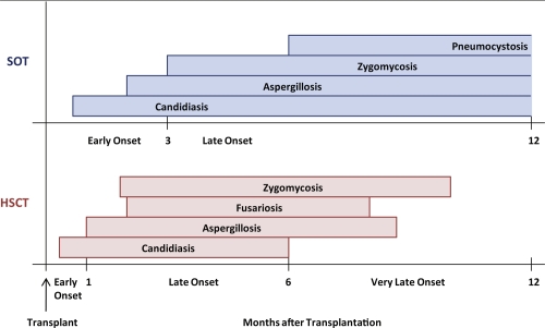 Emerging fungal infections in immunocompromised patients.