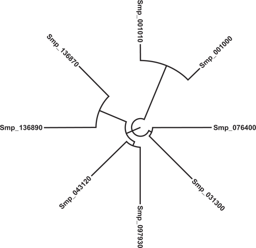 Developmental Regulation of Genes Encoding Universal Stress Proteins in Schistosoma mansoni.