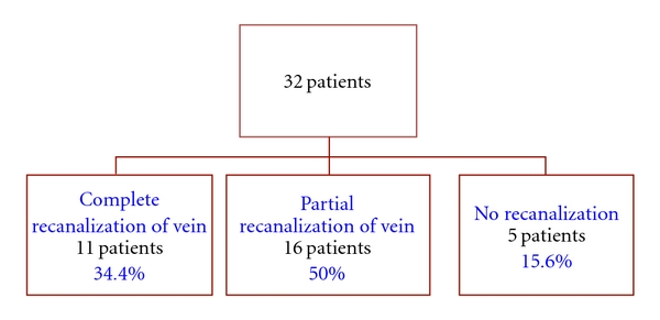 Treatment of Deep Vein Thrombosis with Continuous IV Infusion of LMWH: A Retrospective Study in 32 Children.