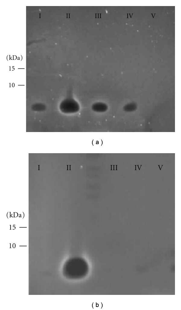 Easy and rapid purification of highly active nisin.