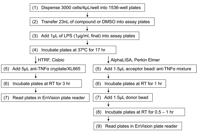 Two High Throughput Screen Assays for Measurement of TNF-α in THP-1 Cells.