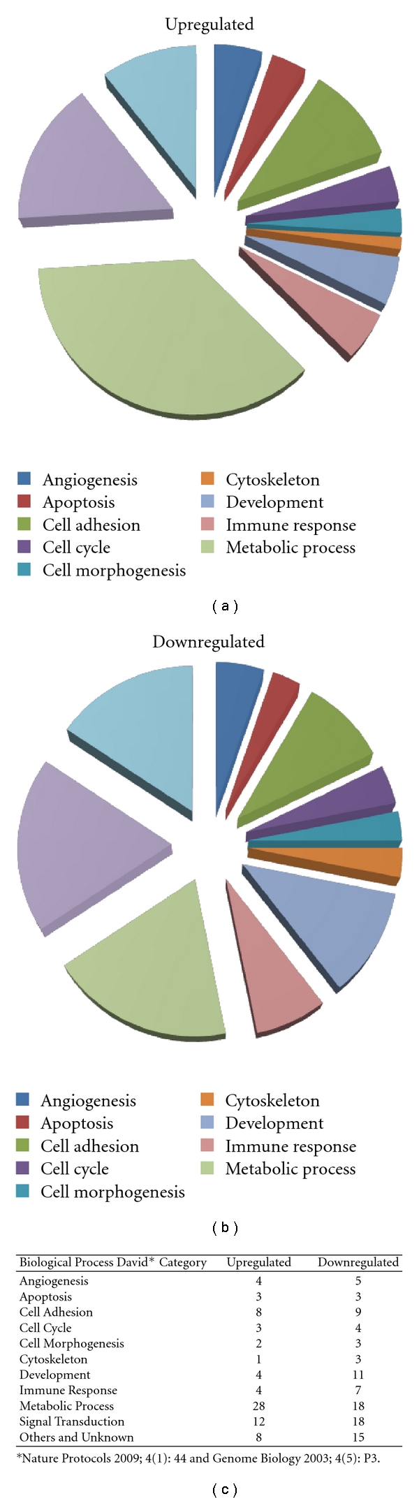 Biologicals and fetal cell therapy for wound and scar management.