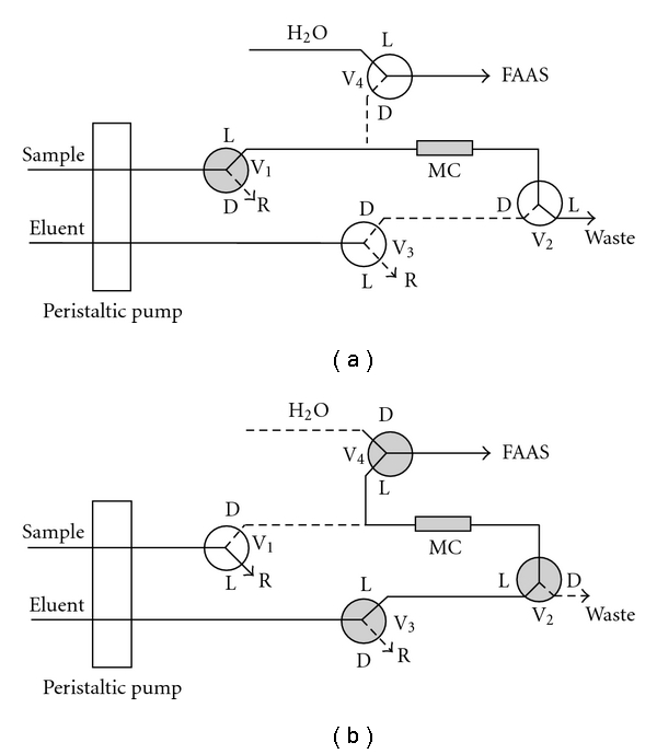 Determination of trace silver in water samples by online column preconcentration flame atomic absorption spectrometry using termite digestion product.