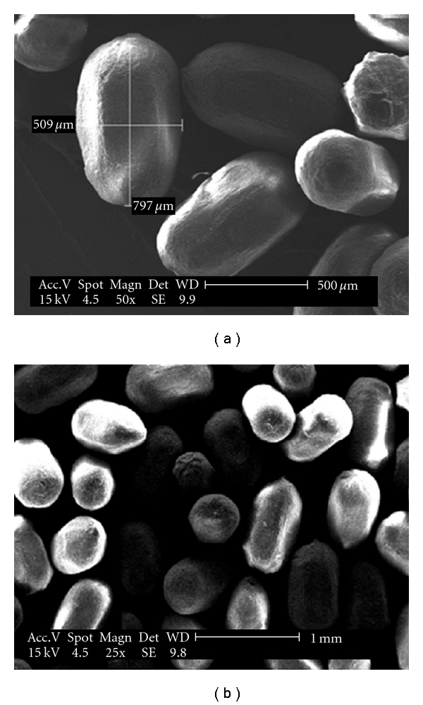 Determination of trace silver in water samples by online column preconcentration flame atomic absorption spectrometry using termite digestion product.