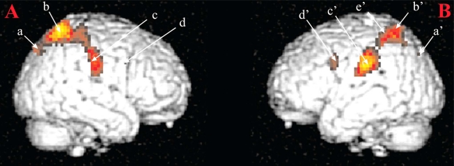 The motivated brain: insights from neuroimaging studies of human male sexual affiliation context.