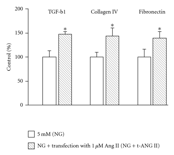 Jak2-Independent Activation of Stat3 by Intracellular Angiotensin II in Human Mesangial Cells.