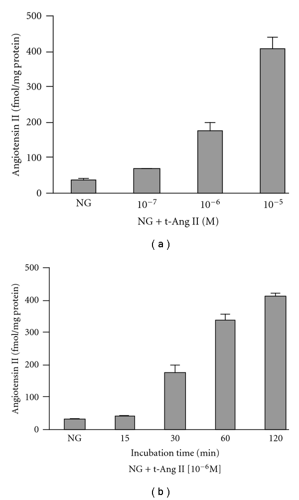 Jak2-Independent Activation of Stat3 by Intracellular Angiotensin II in Human Mesangial Cells.