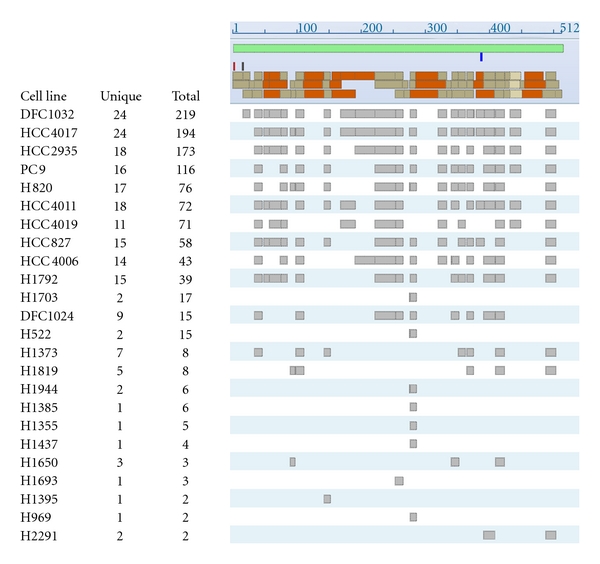 Comprehensive proteomic profiling of aldehyde dehydrogenases in lung adenocarcinoma cell lines.