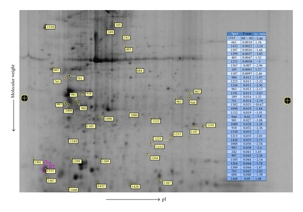 Proteomic Approach to Evaluate Mechanisms That Contribute to Food Allergenicity: Comparative 2D-DIGE Analysis of Radioallergosorbent Test Positive and Negative Patients.