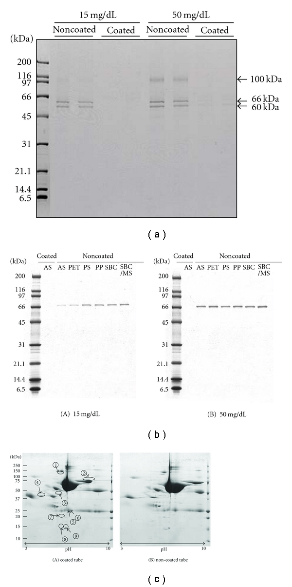 Adsorption of urinary proteins on the conventionally used urine collection tubes: possible effects on urinary proteome analysis and prevention of the adsorption by polymer coating.