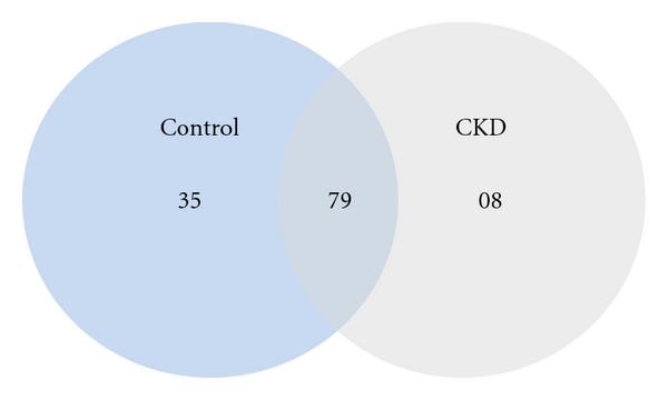 Urine glycoprotein profile reveals novel markers for chronic kidney disease.