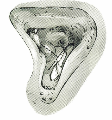 Perspectives in vestibular diagnostics and therapy.