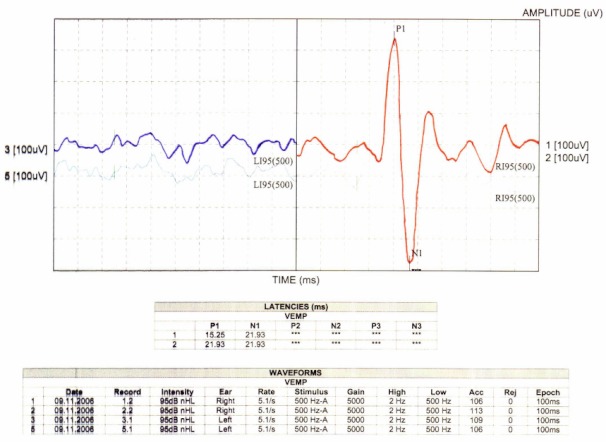 Perspectives in vestibular diagnostics and therapy.