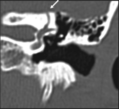 Perspectives in vestibular diagnostics and therapy.