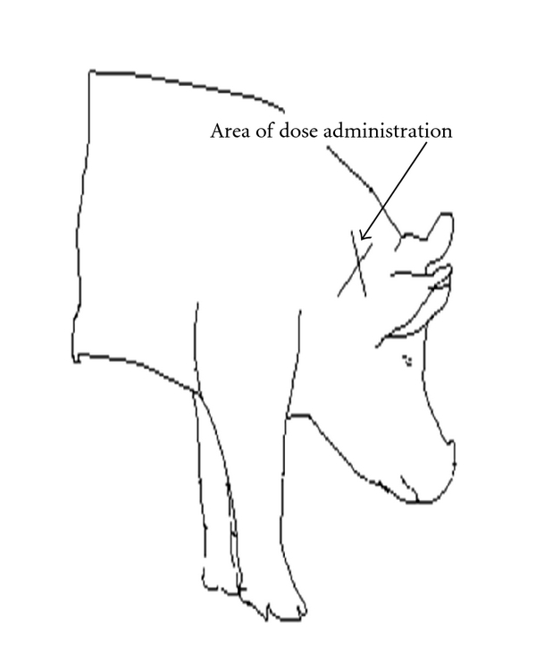 Pharmacokinetic Compatibility Study of Lidocaine with EXPAREL in Yucatan Miniature Pigs.