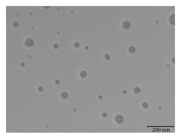 Improving the isotretinoin photostability by incorporating in microemulsion matrix.