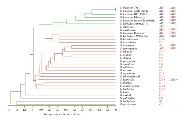 Development of New Candidate Gene and EST-Based Molecular Markers for Gossypium Species.