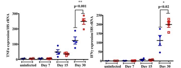 Immune Responses of HIV-1 Tat Transgenic Mice to Mycobacterium Tuberculosis W-Beijing SA161.