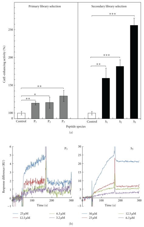 In Vitro Selection of Cathepsin E-Activity-Enhancing Peptide Aptamers at Neutral pH.