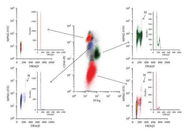 Innovative analyses support a role for DNA damage and an aberrant cell cycle in myelodysplastic syndrome pathogenesis.