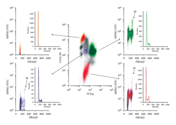 Innovative analyses support a role for DNA damage and an aberrant cell cycle in myelodysplastic syndrome pathogenesis.